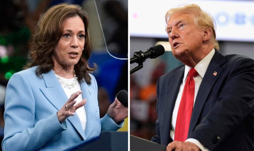 Trump v Harris: When is the next 2024 presidential debate?