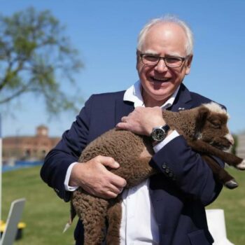 Présidentielle américaine : Tim Walz, un « papa fun du Midwest » qui rassure les démocrates (et au-delà ?)