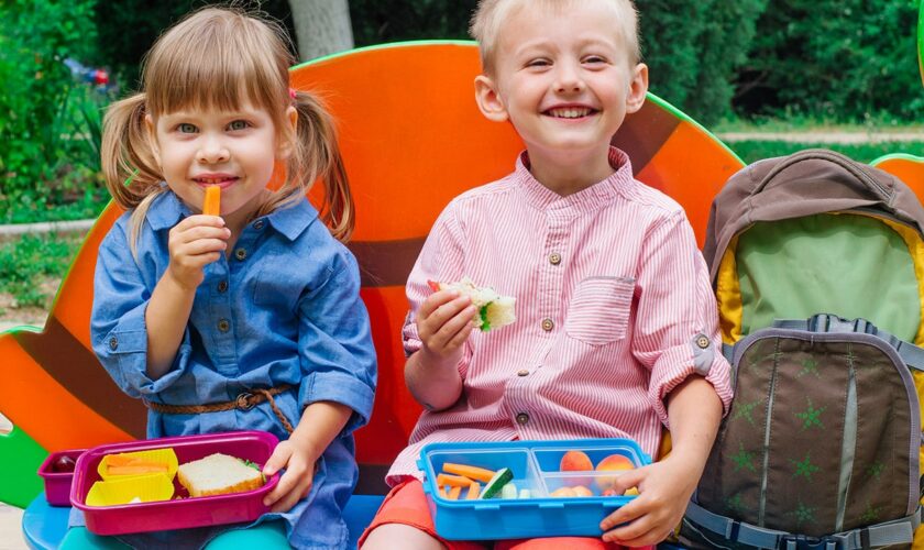 Lunch boxes every kid will want when they go back to school