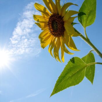 Am Wochenende kehrt der Sommer zurück