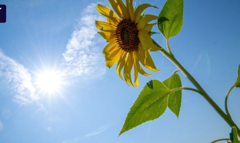 Am Wochenende kehrt der Sommer zurück