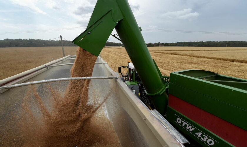 Céréales : «une des plus faibles récoltes des 40 dernières années», selon le ministère de l’Agriculture