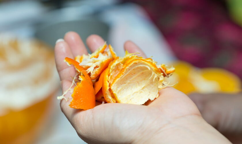 Utiliser des peaux d'orange, c'est la solution efficace contre cette petite bête d'été