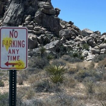 German tourists deface Joshua Tree National Park in paintball and slingshot shooting rampage