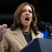 Harris addresses anti-Israel protesters at Arizona rally as crowd tries to drown them out with 'USA!' chants