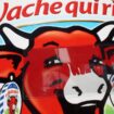 Le fromager Bel, propriétaire des marques La Vache qui rit, Kiri ou encore Boursin, a conclu un accord avec le fonds d'investissement LBO France en vue du rachat du groupe MOM (Pom'potes, Mont Blanc) pour un montant de 850 millions d'euros