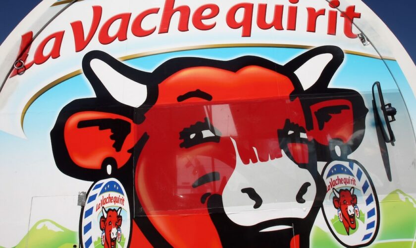 Le fromager Bel, propriétaire des marques La Vache qui rit, Kiri ou encore Boursin, a conclu un accord avec le fonds d'investissement LBO France en vue du rachat du groupe MOM (Pom'potes, Mont Blanc) pour un montant de 850 millions d'euros