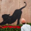 Banksy reveals cat piece - as he stretches run of new artworks to six in six days