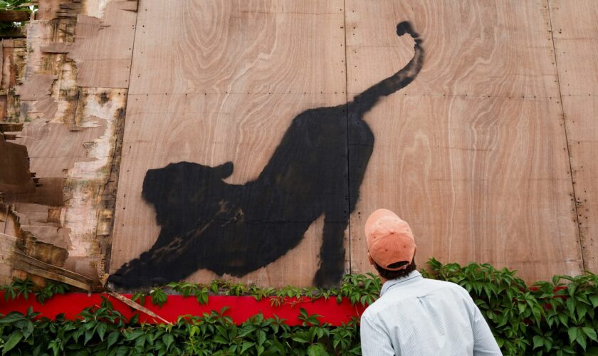 Banksy reveals cat piece - as he stretches run of new artworks to six in six days