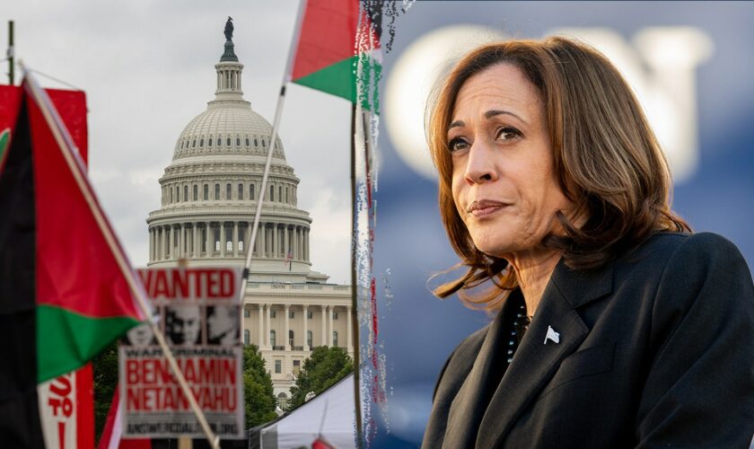 Harris voters defend Democratic presidential nominee on Israel-Hamas conflict: ‘She’s married to a Jewish guy’