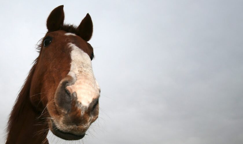 File photo: Axel Heimken/picture-alliance/dpa/AP Images