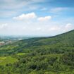 Odenwald-Gipfel Melibokus: Der hohe Herr der Bergstraße