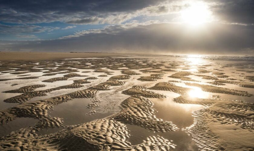 „In nicht dagewesener Geschwindigkeit“ – Das Wattenmeer verändert sich in hohem Tempo