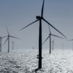 Windenergie: RWE darf zwei Windparks vor der Insel Borkum bauen