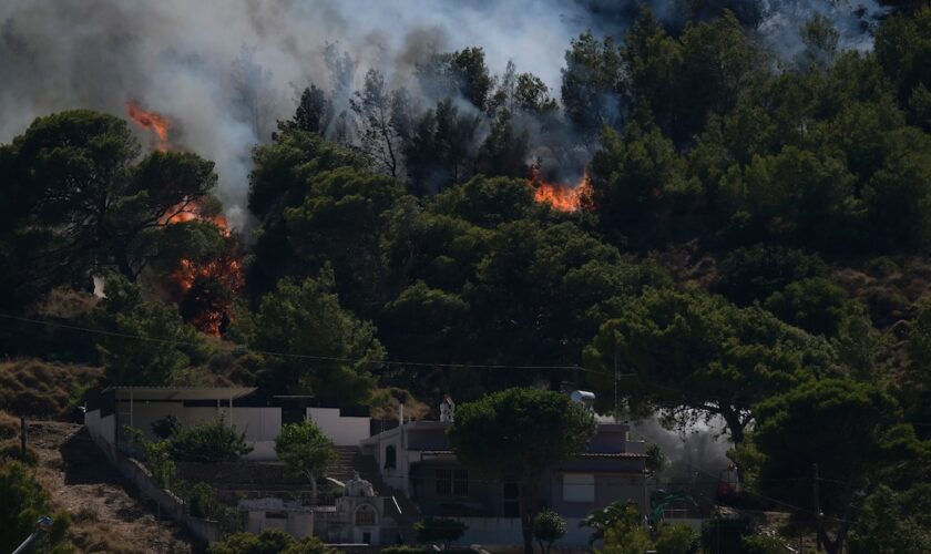 Un feu de forêt s'approche de maisons à Keratea, près d'Athènes, le 30 juin 2024 en Grèce