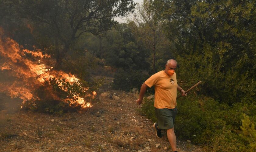 Griechenland: EU-Staaten unterstützen Griechenland im Kampf gegen Waldbrände