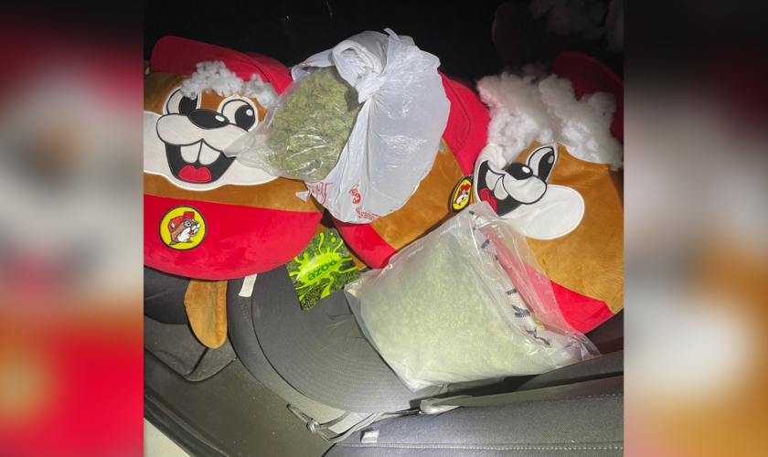 Hard drugs found inside Buc-ee's plushies during traffic stop in Texas