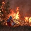 A volunteer tries to extinguish a fire in northern Athens. Pic: AP