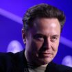 US-Wahl: Elon Musk meldet Cyberangriff auf Live-Gespräch mit Donald Trump