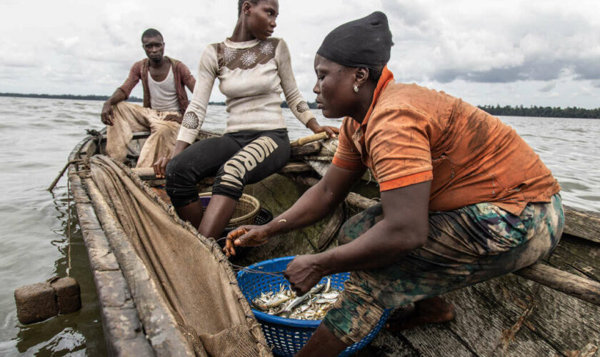 L’insatiable appétit chinois pour le poisson africain