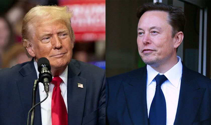 Trump chats with Musk in lengthy, overarching interview as Harris continues snubbing media