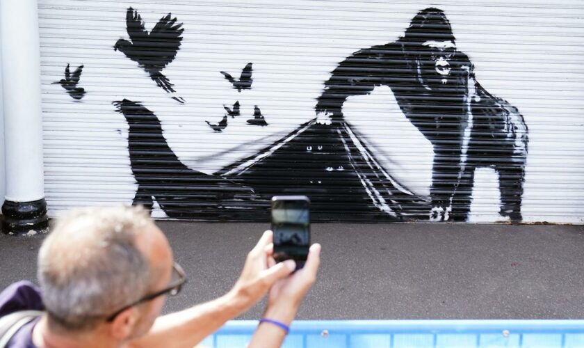 Street-Art: Banksy beendet Tier-Serie mit neuem Werk in London