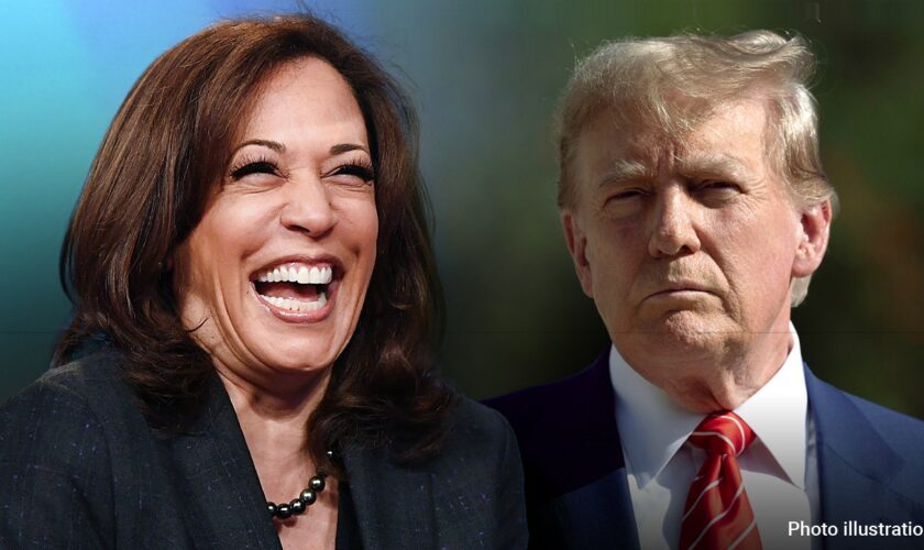 Harris responds after Trump's interview with Elon Musk and more top headlines