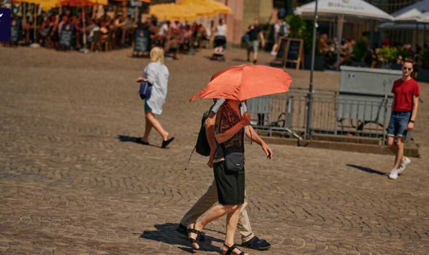 Hitzewelle: Cool bleiben - trotz tropischer Temperaturen