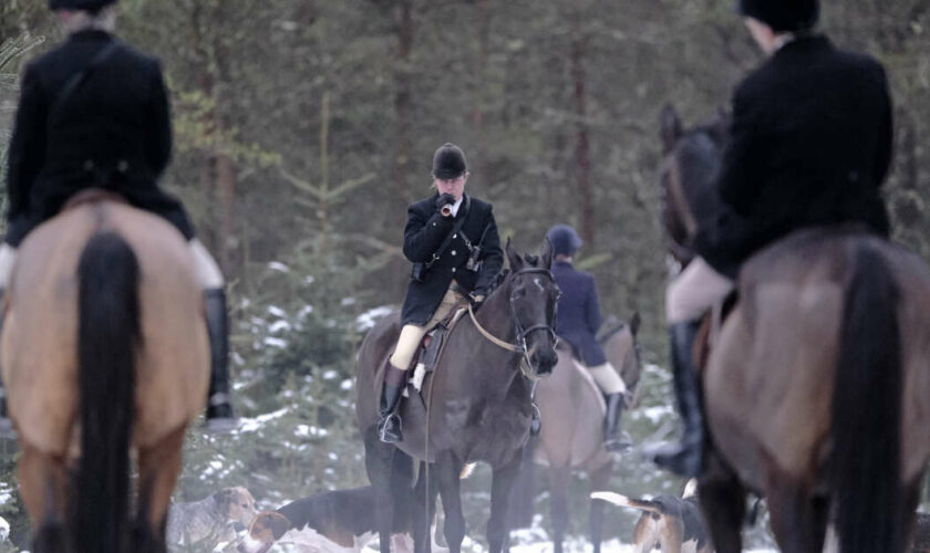 Les chasseurs britanniques se rêvent en “minorité protégée”