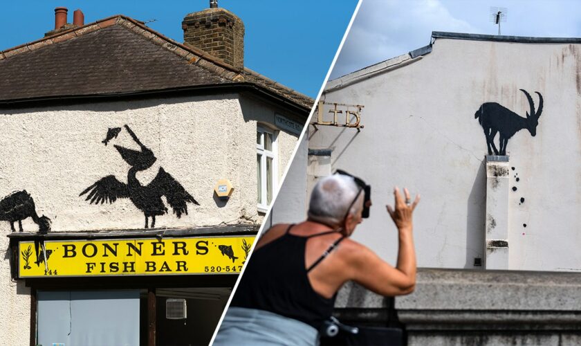 Fans of elusive artist believe Banksy has completed weeklong series of artwork with gorilla silhouette