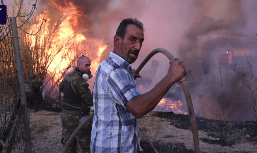 Bilder zeigen das Ausmaß der Waldbrände nahe Athen