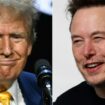 Donald Trump en juin dans l'Arizona et Elon Musk en mars en Allemagne