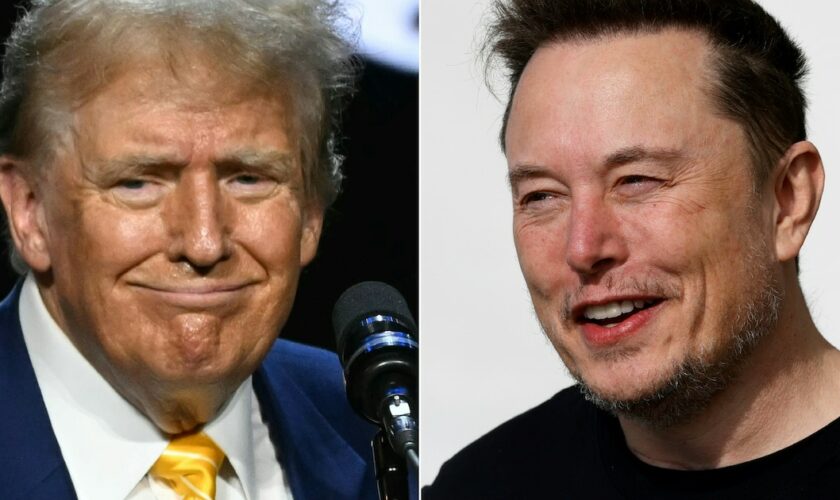 Donald Trump en juin dans l'Arizona et Elon Musk en mars en Allemagne