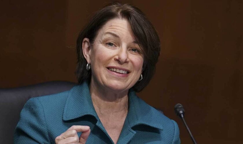 Ex-NBA player to face Amy Klobuchar for Minnesota Senate seat