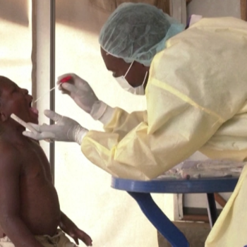 « Mpox » (ex-variole du singe) : que sait-on de ce virus que l’OMS place au plus haut niveau d’alerte mondiale