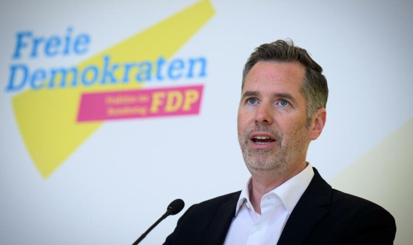 Bundesregierung: FDP-Fraktionschef sieht Haushaltsstreit trotz Regierungskrise gelassen