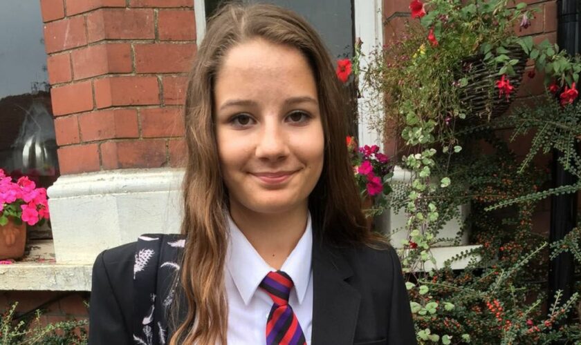 Molly Russell's family have campaigned for better internet safety since her death in 2017.