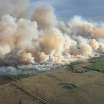 Mégafeux : les incendies géants ont émis d’immenses quantités de CO2 l’an dernier