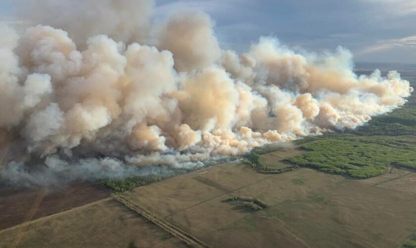 Mégafeux : les incendies géants ont émis d’immenses quantités de CO2 l’an dernier