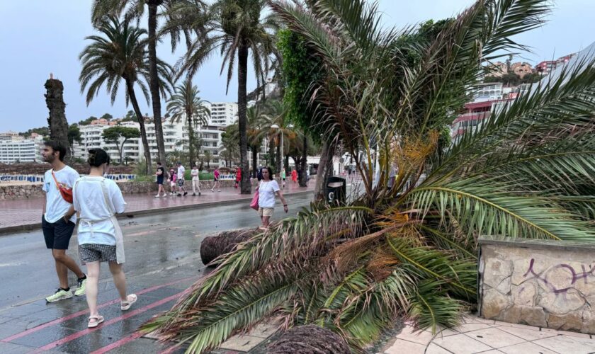 Stürme und Hagel – Schwere Unwetter auf Mallorca