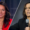 Kamala Harris is an 'empty suit' and campaign handlers are worried, says Tulsi Gabbard