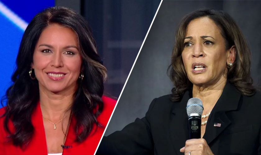 Kamala Harris is an 'empty suit' and campaign handlers are worried, says Tulsi Gabbard