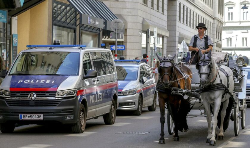 Österreich: Terrorverdächtige wurden vor Taylor-Swift-Konzerten in Wien observiert