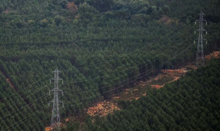 En Gironde, l’ombre grandit sur le futur mégaparc photovoltaïque Horizeo