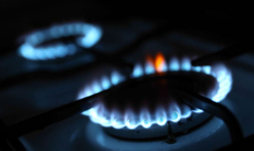 Experts rip ‘triple crown of bad regs’ as Biden admin posts gas stove rule it denied was a ban