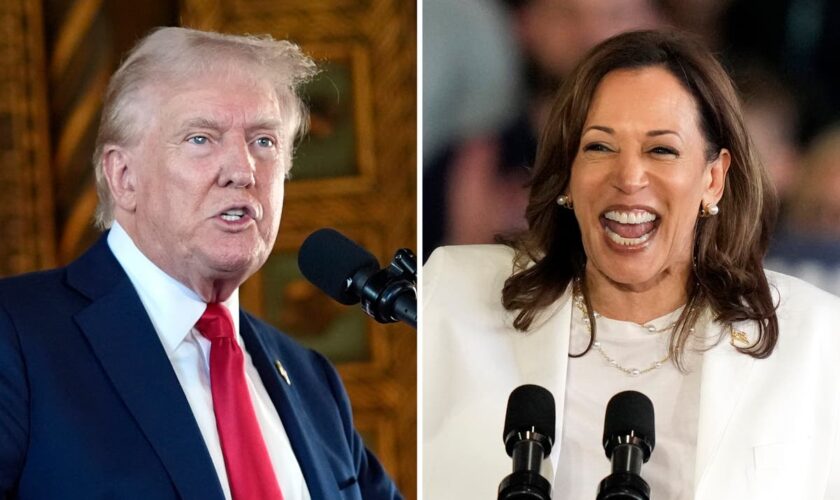 Harris and Trump have never been in the same room together. A debate will change that