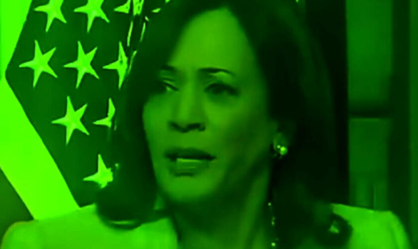 Kamala Harris sera-t-elle élue grâce à TikTok ?