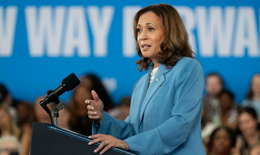 Kamala Harris goes viral in parody Trump ad after lamenting high prices: 'This is devastating'