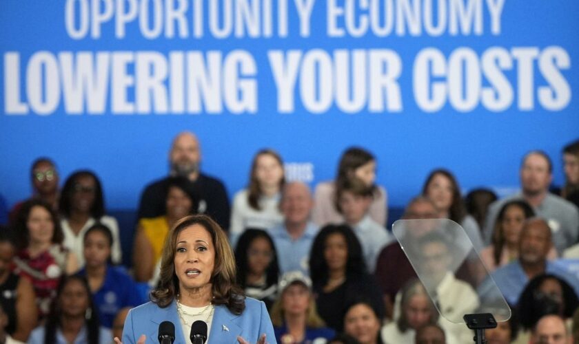 US-Wahlkampf: Kamala Harris verspricht Steuersenkungen für die Mittelschicht