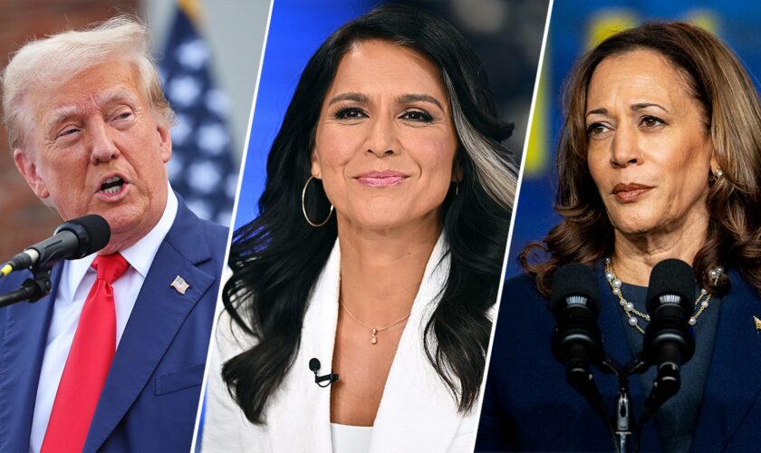 Trump recruits Tulsi Gabbard for debate prep after she 'dominated' Harris in 2019 primary